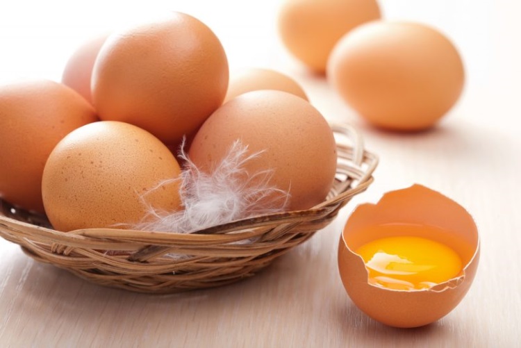 правда о яйцах
