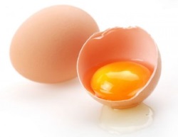 правда о яйцах